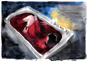 acquerelli water color venus venere la nascira di venere stella ehinar (7)      